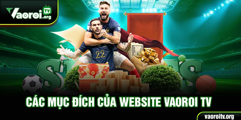 Các mục đích của website Vaoroi TV