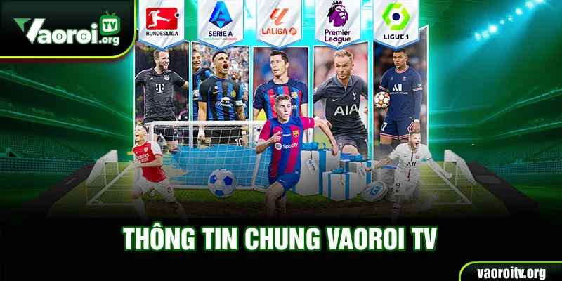 Thông tin chung Vaoroi TV